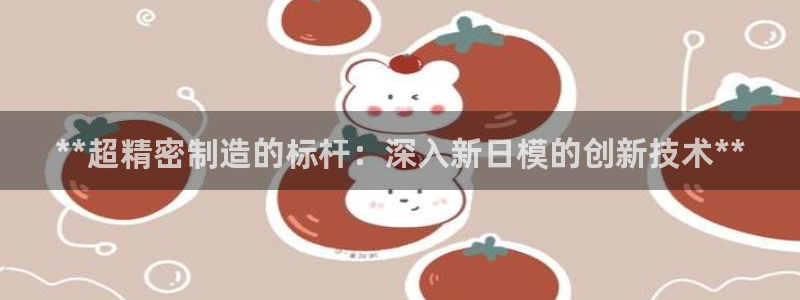 所有彩神购买首页都一样吗：**超精密制造的标杆：深入新日模的创新技术**