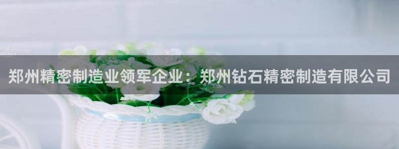 彩神大发cp：郑州精密制造业领军企业：郑州钻石精密制造有限公司
