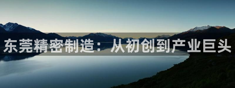 彩神iv是正规平台吗?：东莞精密制造：从初创到产业巨头