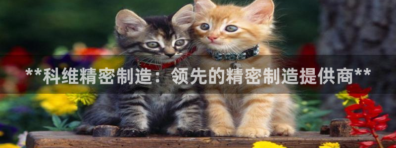彩神v破解版：**科维精密制造：领先的精密制造提供商**