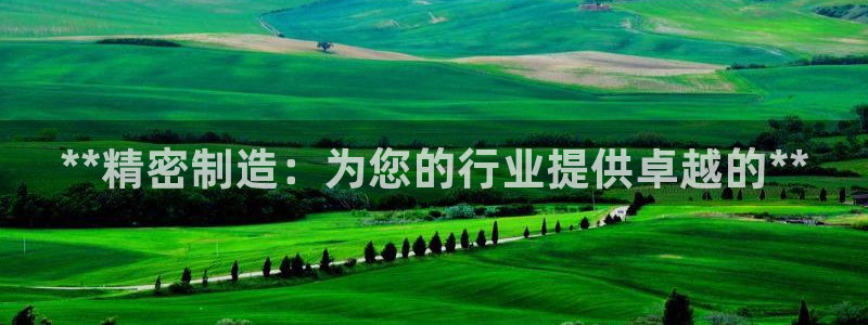 彩神购彩-购彩大厅入口老版：**精密制造：为您的行业提供卓越的**