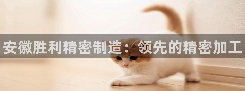 v大发彩神8iii：安徽胜利精密制造：领先的精密加工