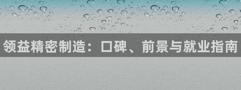 彩神v8手机客户端下载：领益精密制造：口碑、前景与就业指南