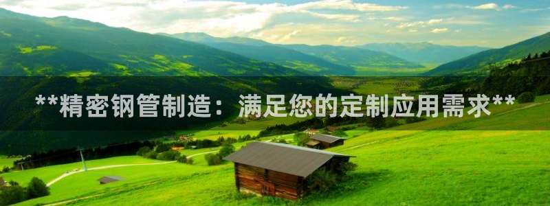彩神8下载安卓版-彩神8(可提现)官网版1.0.0：**精密钢管制造：满足您的定制应用需求**