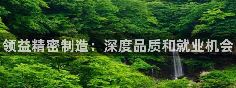 彩神怎么样可以提现：领益精密制造：深度品质和就业机会