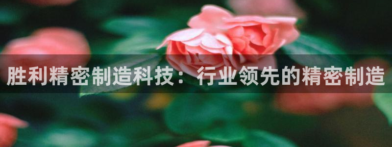 彩神v8手机客户端怎么下载：胜利精密制造科技：行业领先的精密制造