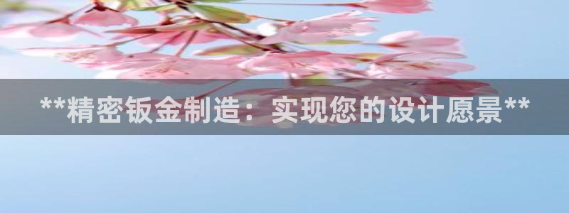 彩神v8手机客户端：**精密钣金制造：实现您的设计愿景**