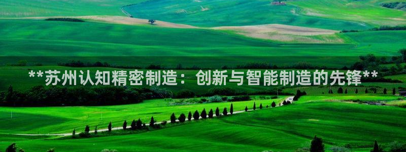 彩神v8iii：**苏州认知精密制造：创新与智能制造的先锋**
