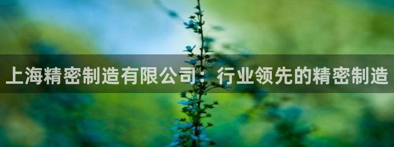 彩神iv能赚钱吗：上海精密制造有限公司：行业领先的精密制造