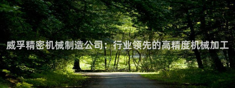 彩神v彩搜狗：威孚精密机械制造公司：行业领先的高精度机械加工