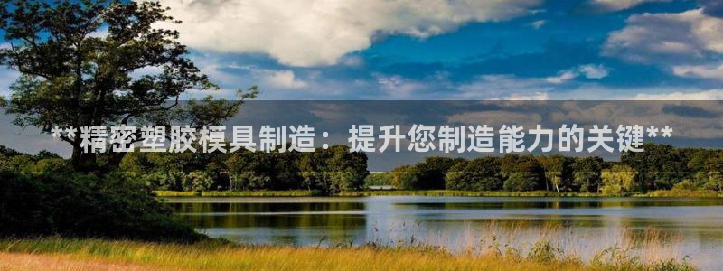 彩神ii官方网：**精密塑胶模具制造：提升您制造能力的关键**