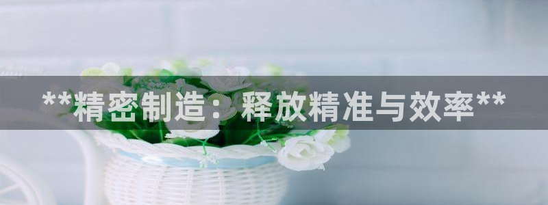 彩神vll购彩大厅大众：**精密制造：释放精准与效率**