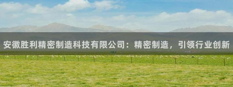 彩神v大众娱乐：安徽胜利精密制造科技有限公司：精密制造，引领行业创新