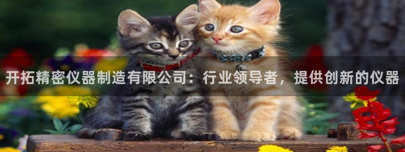 下载彩神争霸谁与我争锋：开拓精密仪器制造有限公司：行业领导者，提供创新的仪器