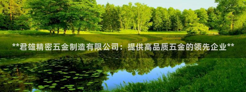 彩神vllⅰ购彩大厅：**君雄精密五金制造有限公司：提供高品质五金的领先企业**