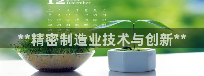 彩神Vll：**精密制造业技术与创新**