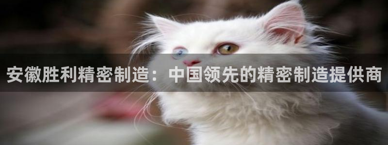 彩神v8平台正规吗可靠吗：安徽胜利精密制造：中国领先的精密制造提供商