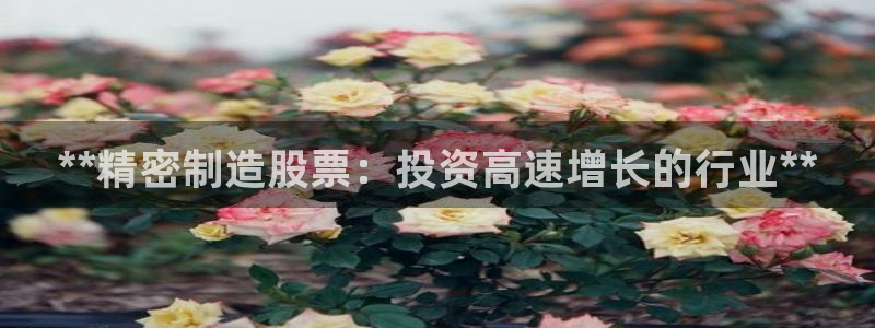 彩神ix平台：**精密制造股票：投资高速增长的行业**
