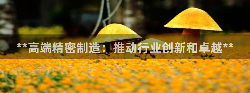 彩神是正规平台吗：**高端精密制造：推动行业创新和卓越**