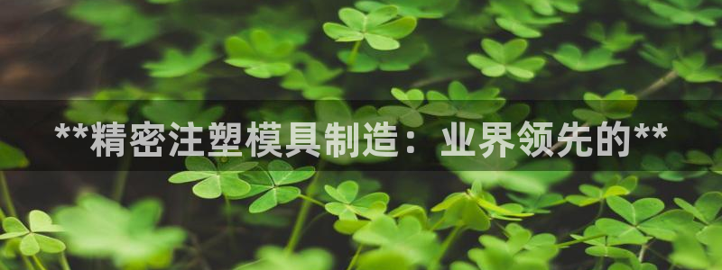 彩神viii下载安卓：**精密注塑模具制造：业界领先的**