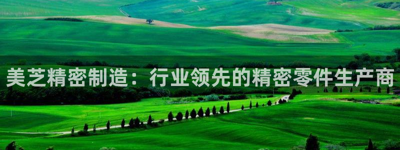 彩神旗下有哪些平台可以玩：美芝精密制造：行业领先的精密零件生产商
