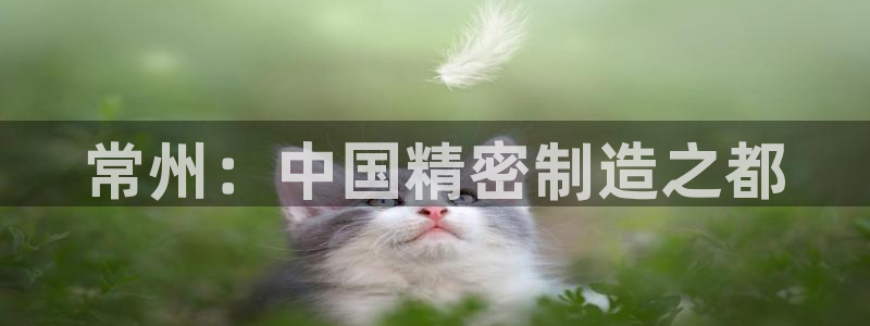 新版彩神v8登录不了：常州：中国精密制造之都