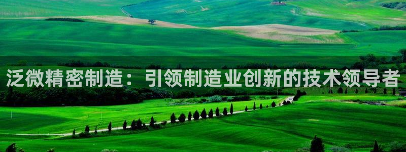 彩神vlll官方网：泛微精密制造：引领制造业创新的技术领导者