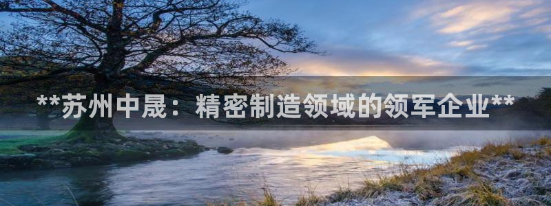 彩神怎么样可以提现：**苏州中晟：精密制造领域的领军企业**