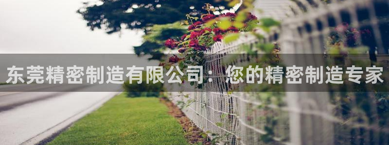 彩神vi争霸官网：东莞精密制造有限公司：您的精密制造专家