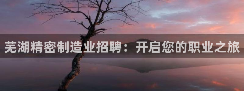 彩神v8是一个什么平台：芜湖精密制造业招聘：开启您的职业之旅