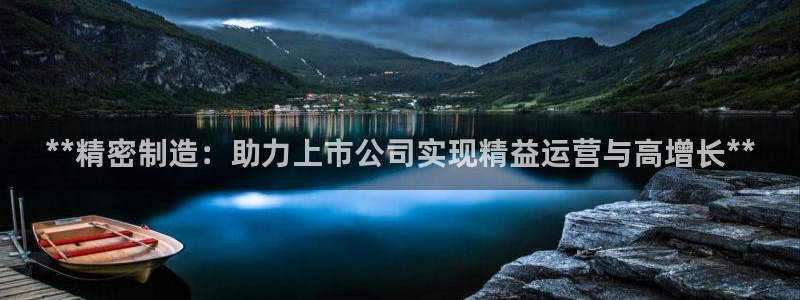 彩神vll官网-最新版app下载：**精密制造：助力上市公司实现精益运营与高增长**