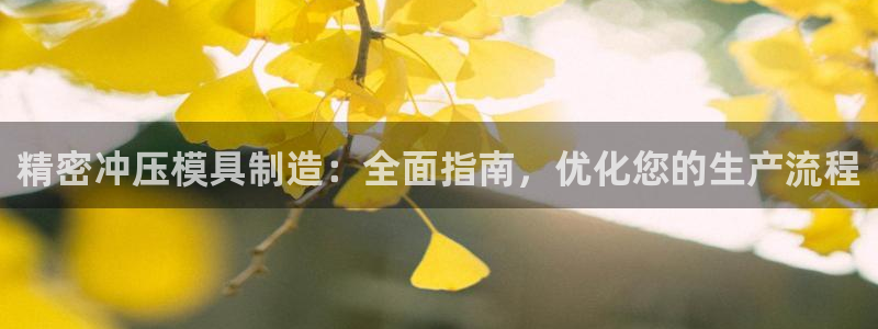 彩神viii官网：精密冲压模具制造：全面指南，优化您的生产流程