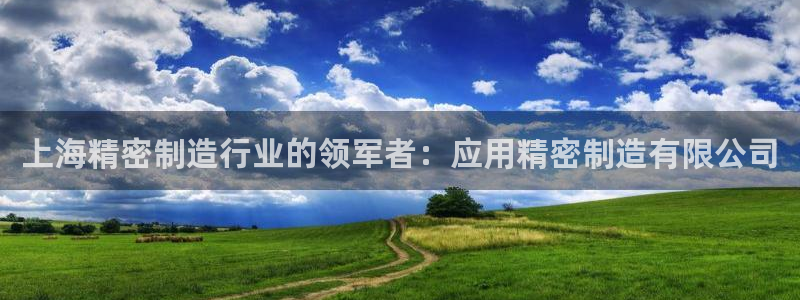 彩神v1破解器：上海精密制造行业的领军者：应用精密制造有限公司