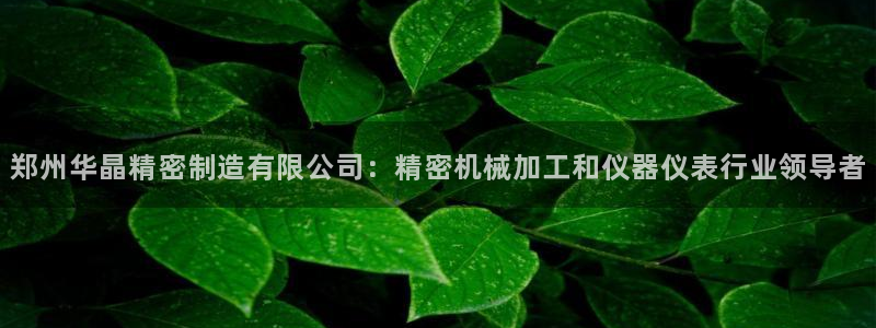 天天彩神welcome：郑州华晶精密制造有限公司：精密机械加工和仪器仪表行业领导者