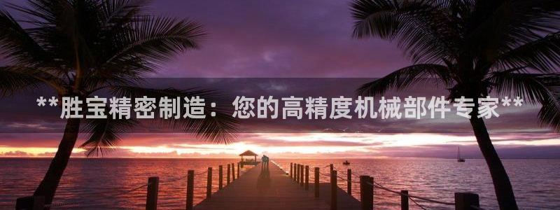彩神v8首页：**胜宝精密制造：您的高精度机械部件专家**
