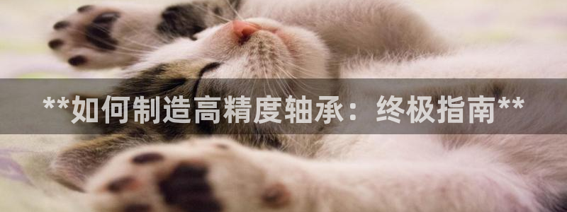彩神v8手机客户端下载：**如何制造高精度轴承：终极指南**