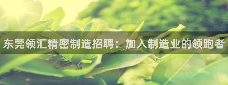 彩神官方登录：东莞领汇精密制造招聘：加入制造业的领跑者