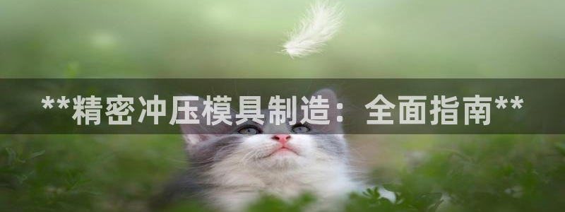 彩神购彩-购彩大厅入口老版：**精密冲压模具制造：全面指南**