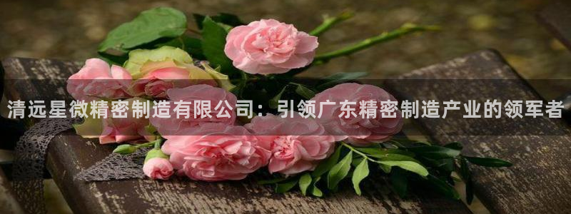 彩神v平台：清远星微精密制造有限公司：引领广东精密制造产业的领军者
