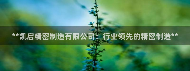 彩神大发如何观察走势：**凯启精密制造有限公司：行业领先的精密制造**