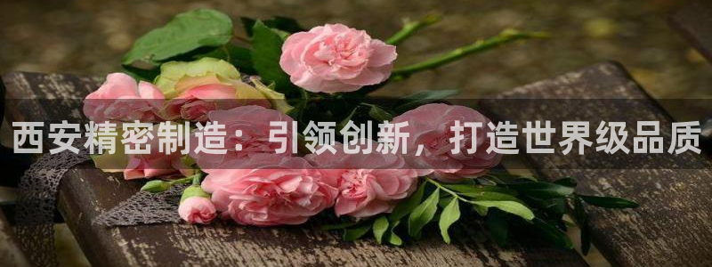 彩神争霸官方登录：西安精密制造：引领创新，打造世界级品质