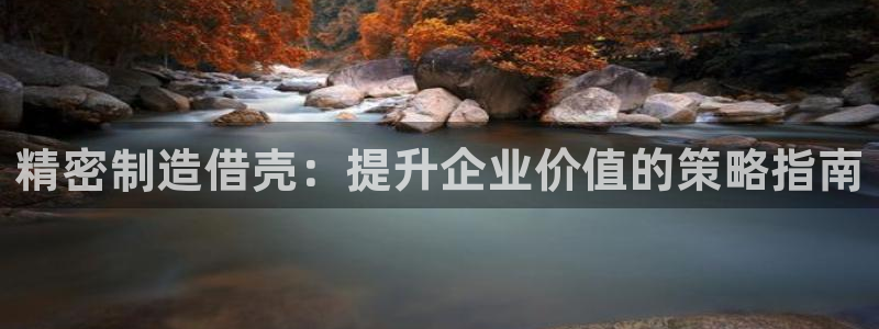 彩神8彩平台官网：精密制造借壳：提升企业价值的策略指南