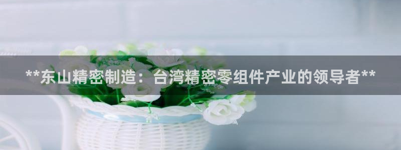 彩神v8是真的挣钱吗知乎：**东山精密制造：台湾精密零组件产业的领导者**