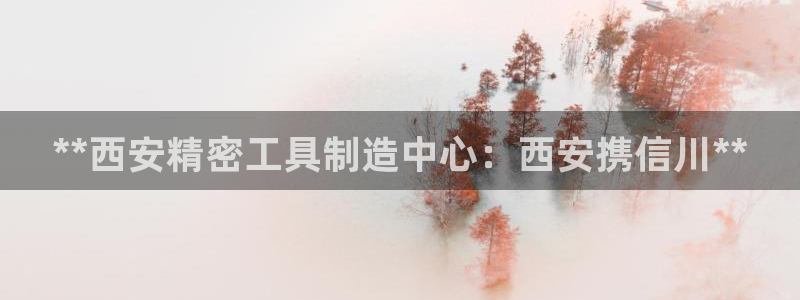 大发彩神官网下载：**西安精密工具制造中心：西安携信川**