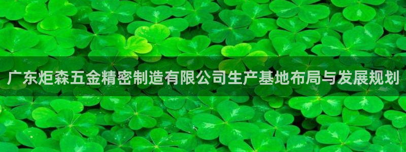 彩神的邀请码是多少：广东炬森五金精密制造有限公司生产基地布局与发展规划