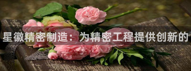 彩神vlll(中国)百度百科：星徽精密制造：为精密工程提供创新的