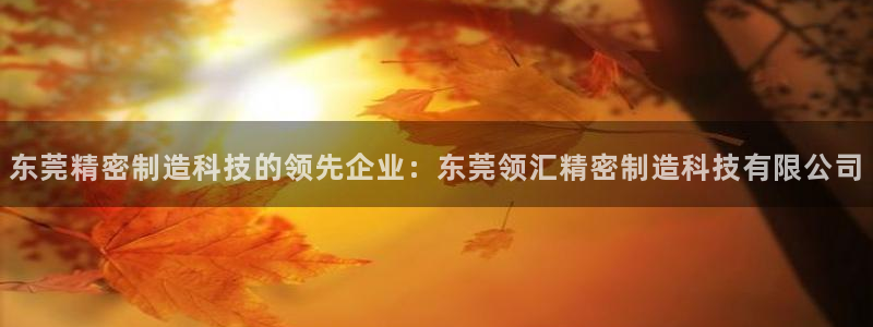 彩神广告有限公司：东莞精密制造科技的领先企业：东莞领汇精密制造科技有限公司