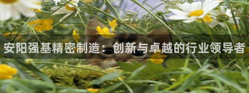 彩神ⅴll用户登录：安阳强基精密制造：创新与卓越的行业领导者
