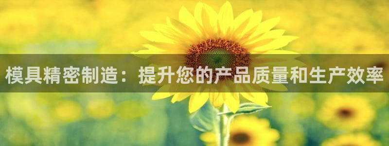 彩神v1破解器：模具精密制造：提升您的产品质量和生产效率