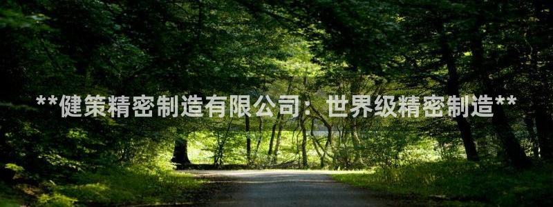 大发彩神官网下载：**健策精密制造有限公司：世界级精密制造**